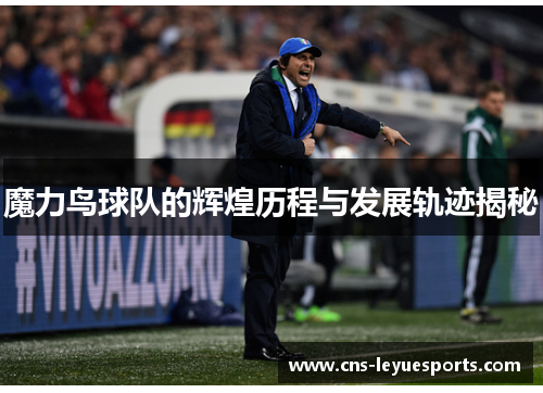 魔力鸟球队的辉煌历程与发展轨迹揭秘 魔力鸟球队的辉煌历程与发展轨迹揭秘