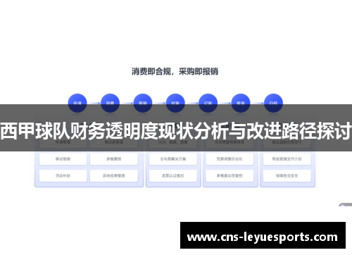 西甲球队财务透明度现状分析与改进路径探讨