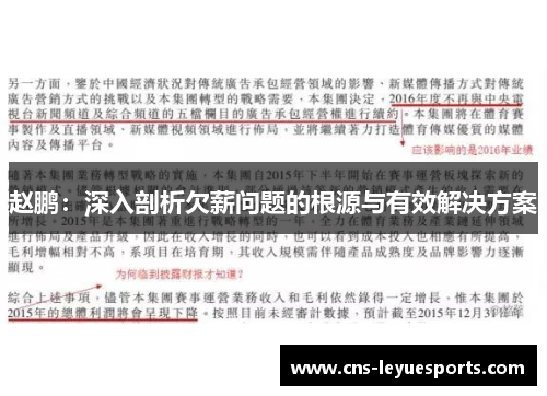 赵鹏：深入剖析欠薪问题的根源与有效解决方案