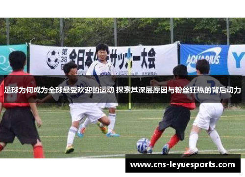 足球为何成为全球最受欢迎的运动 探索其深层原因与粉丝狂热的背后动力