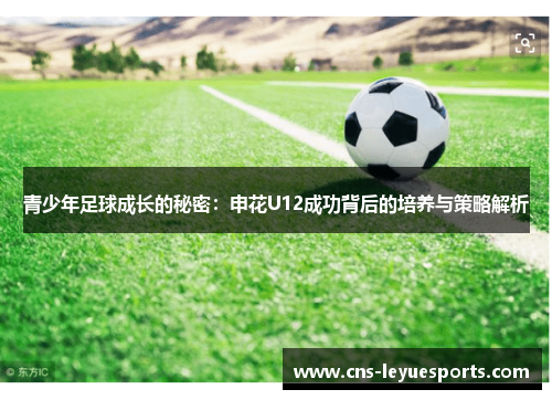 青少年足球成长的秘密:申花U12成功背后的培养与策略解析 青少年足球成长的秘密:申花U12成功背后的培养与策略解析